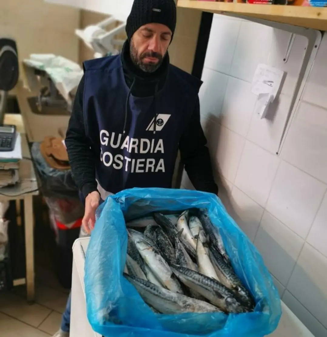 Pesce ‘straniero’, maxi-sequestro