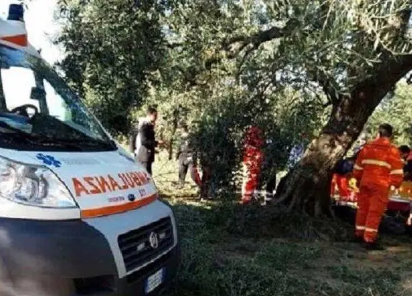 Muore Schiacciato Sotto L’albero Ne Aveva Tagliati Tanti Tutta La Vita ...