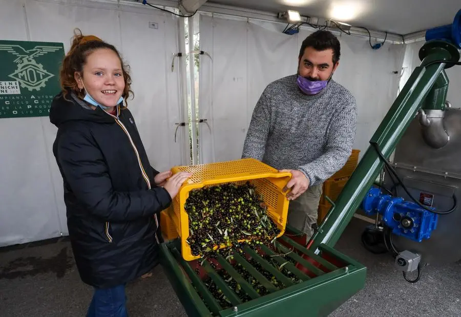 Olio, grande patrimonio della comunità