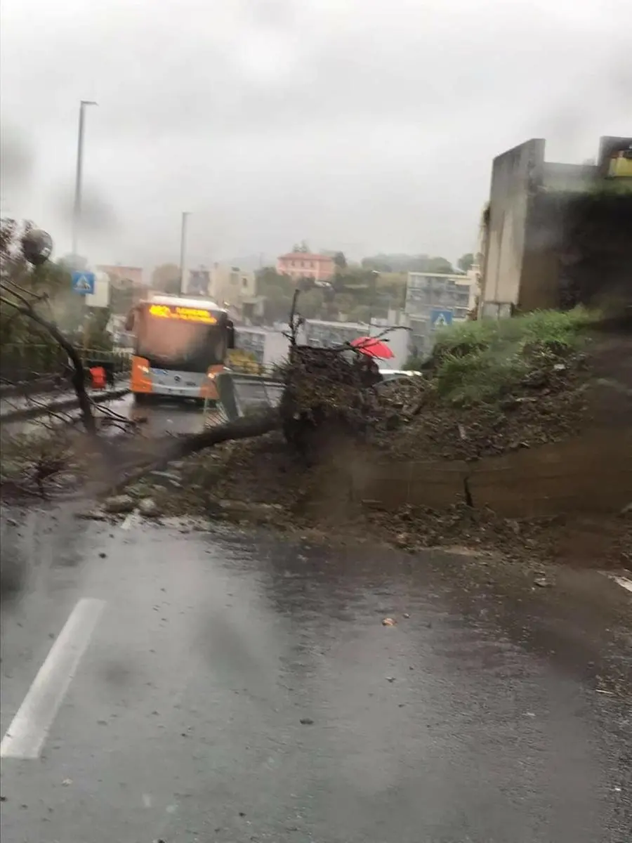 Maltempo Liguria, allerta meteo prolungata