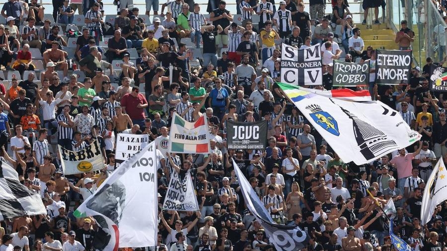 Tifosi bianconeri al Franchi (Fotocronache Germogli)