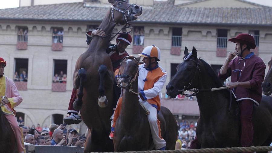 Siena, il Leocorno vince la terza prova del Palio. Le foto