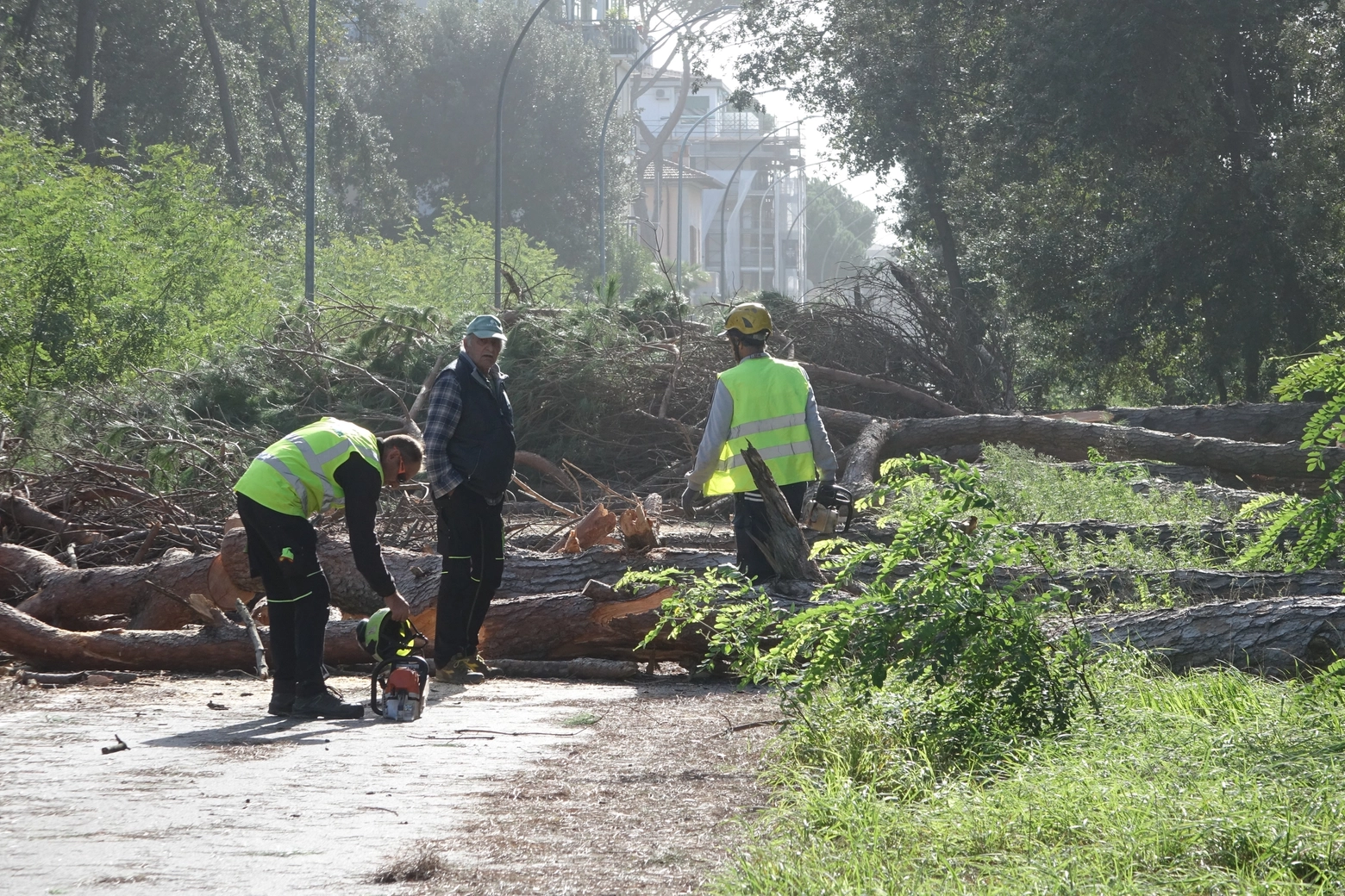 I danni in Versilia per il maltempo (Foto Umicini)