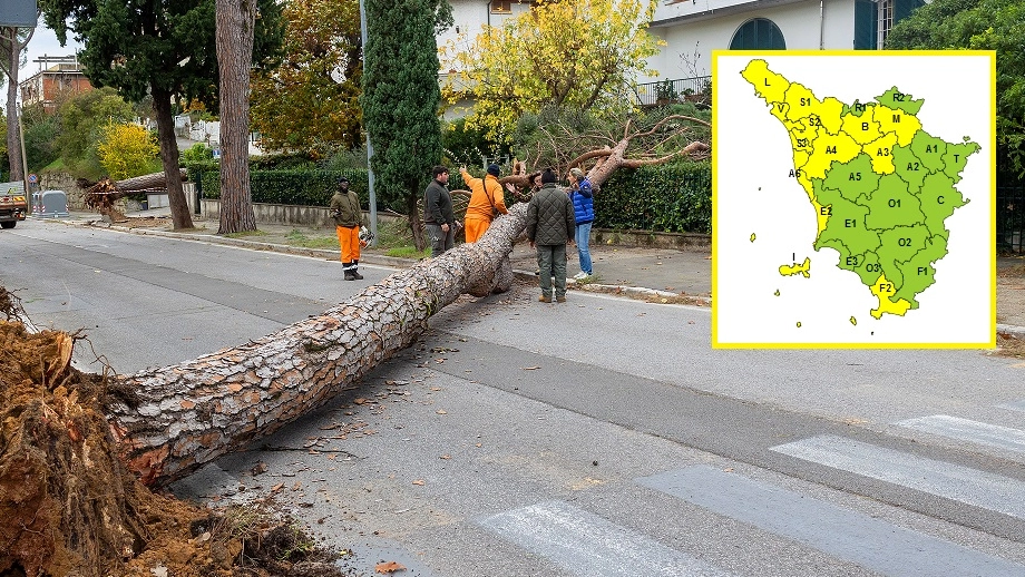Un albero caduto nei giorni scorsi a Montecatini e la mappa dell'allerta del 24-25 novembre