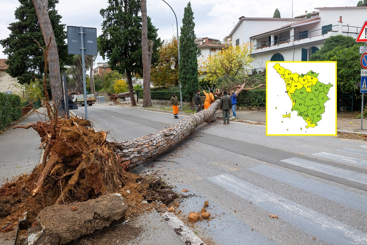 Un albero caduto nei giorni scorsi a Montecatini e la mappa dell'allerta del 24-25 novembre