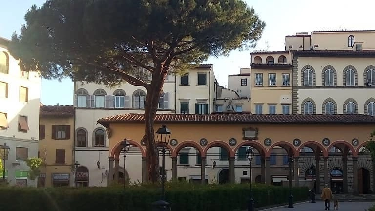 Piazza dei Ciompi prima della caduta del pino (foto da Facebook)