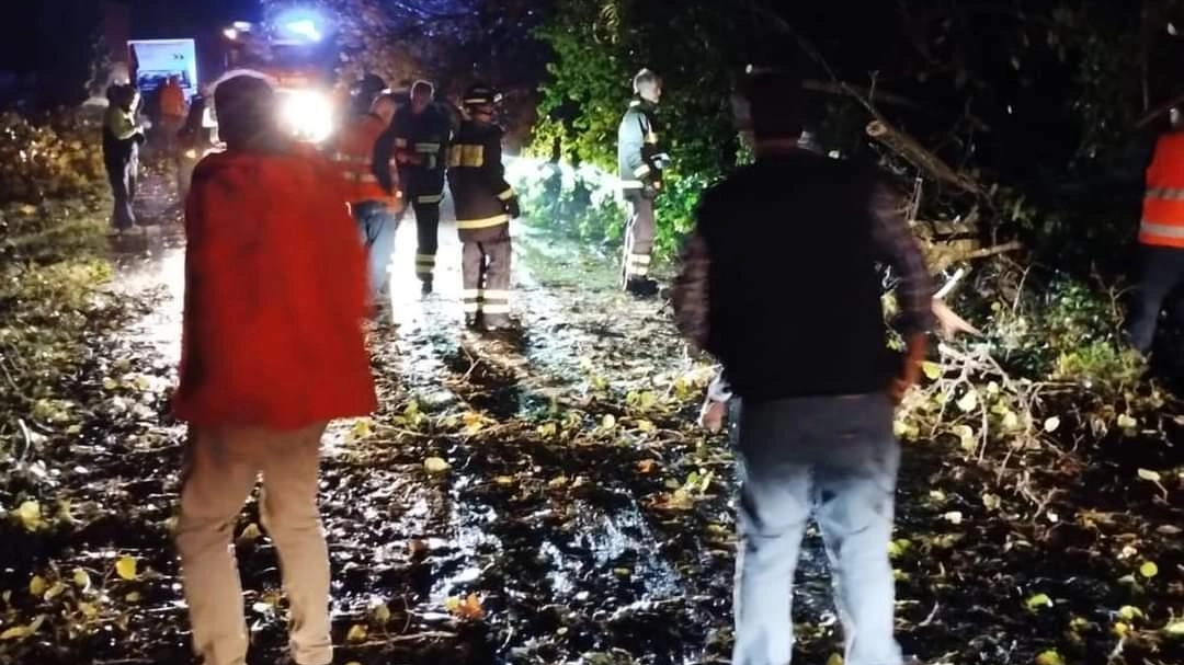 Colpite varie frazioni. Alberi caduti in strada. Collegamenti interrotti: "Tanti in aree private"