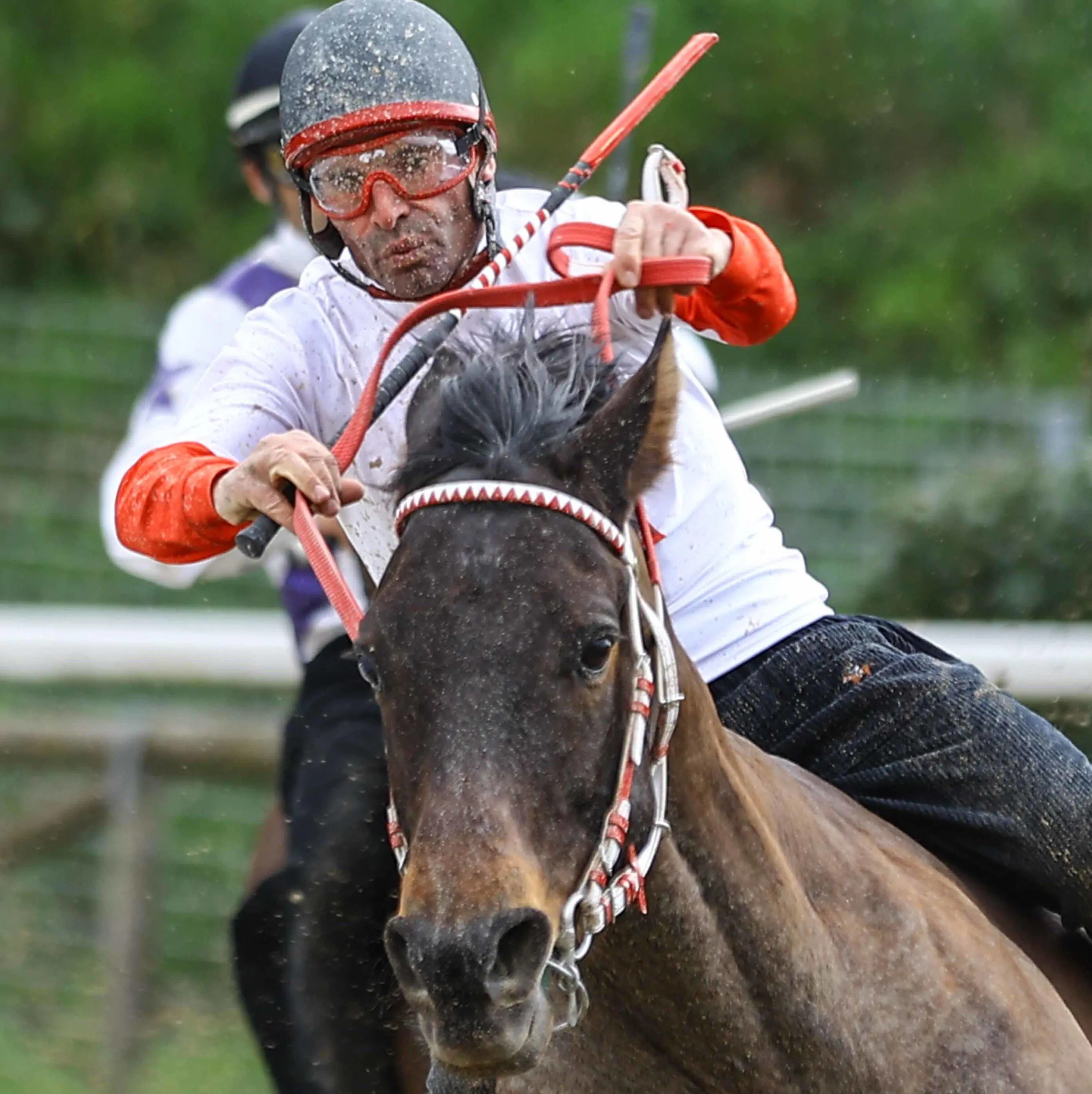 Il maltempo rinvia le Corse di Primavera: oggi 45 cavalli in pista