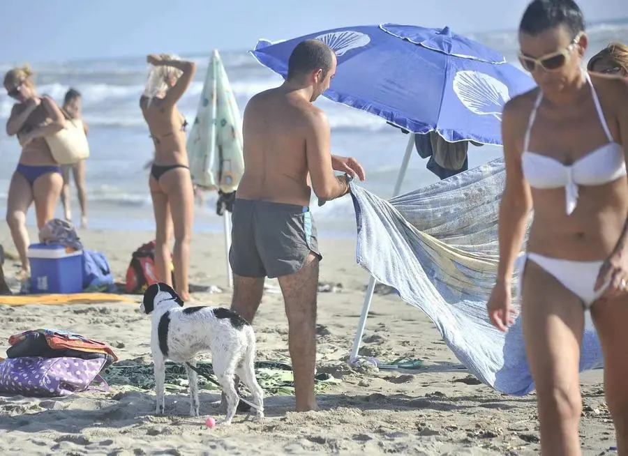 Via ufficiale alla stagione balneare. Partita la sorveglianza obbligatoria