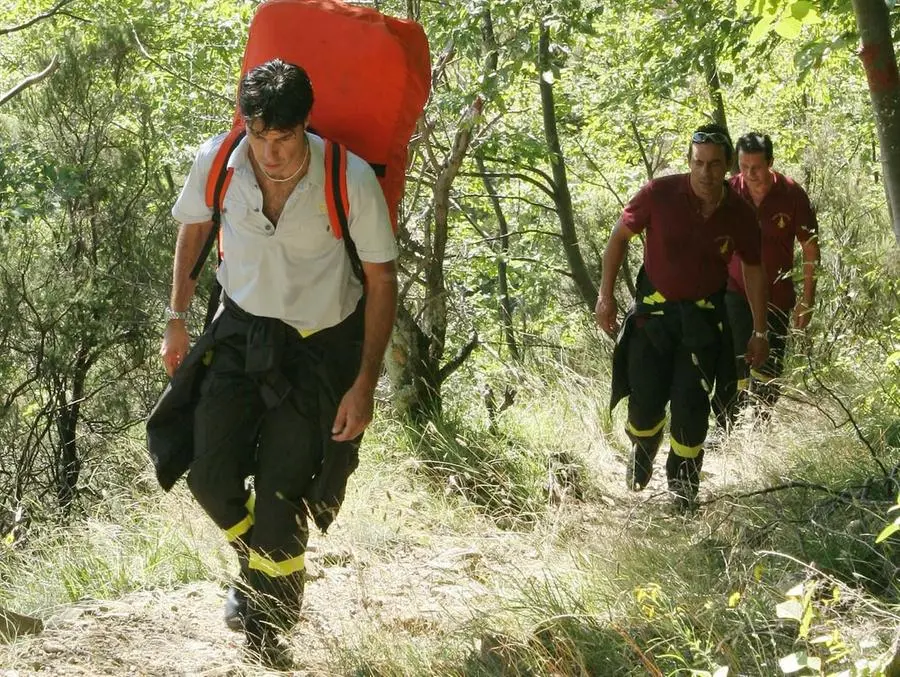 Allerta funghi, nei boschi parte l’invasione