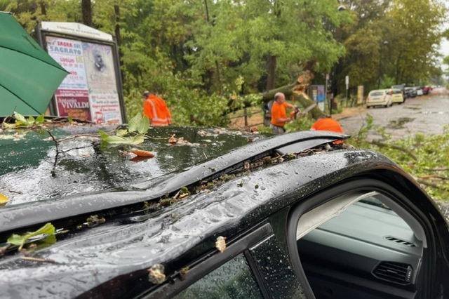 Versilia, operai al lavoro