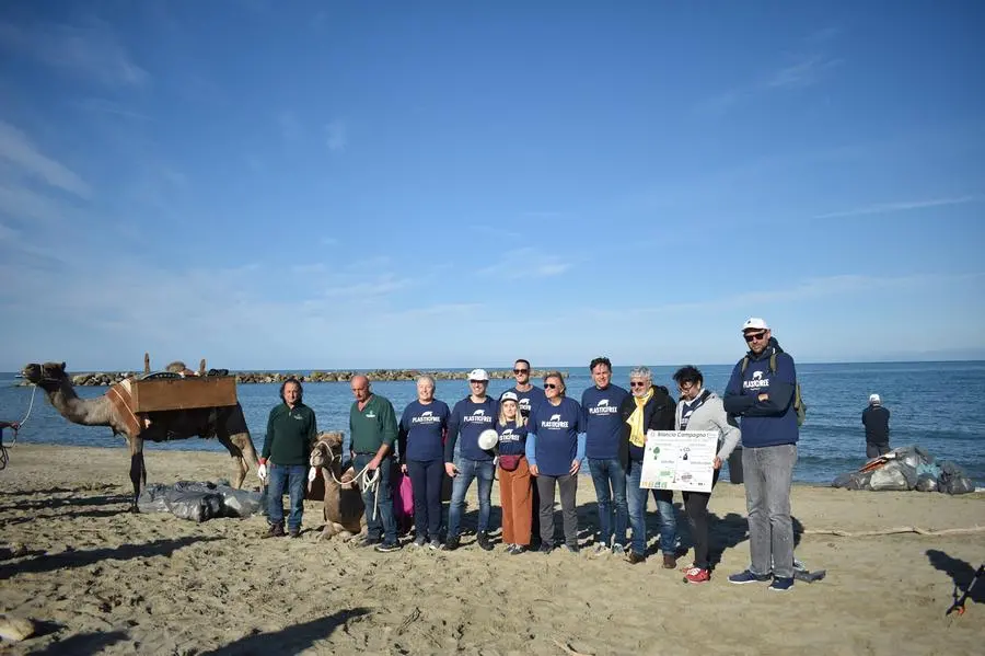 San Rossore: in spiaggia per raccogliere i rifiuti con i dromedari