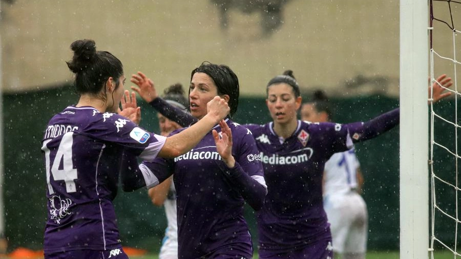 Fiorentina-Napoli 2-0 (foto Germogli)