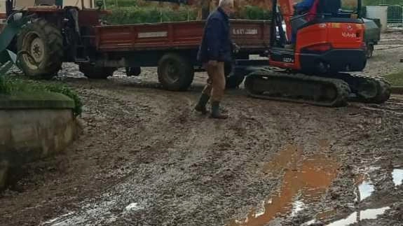 Azienda agricola in ginocchio. L’angoscia di nonno e nipoti : "Mai vista così tanta pioggia"