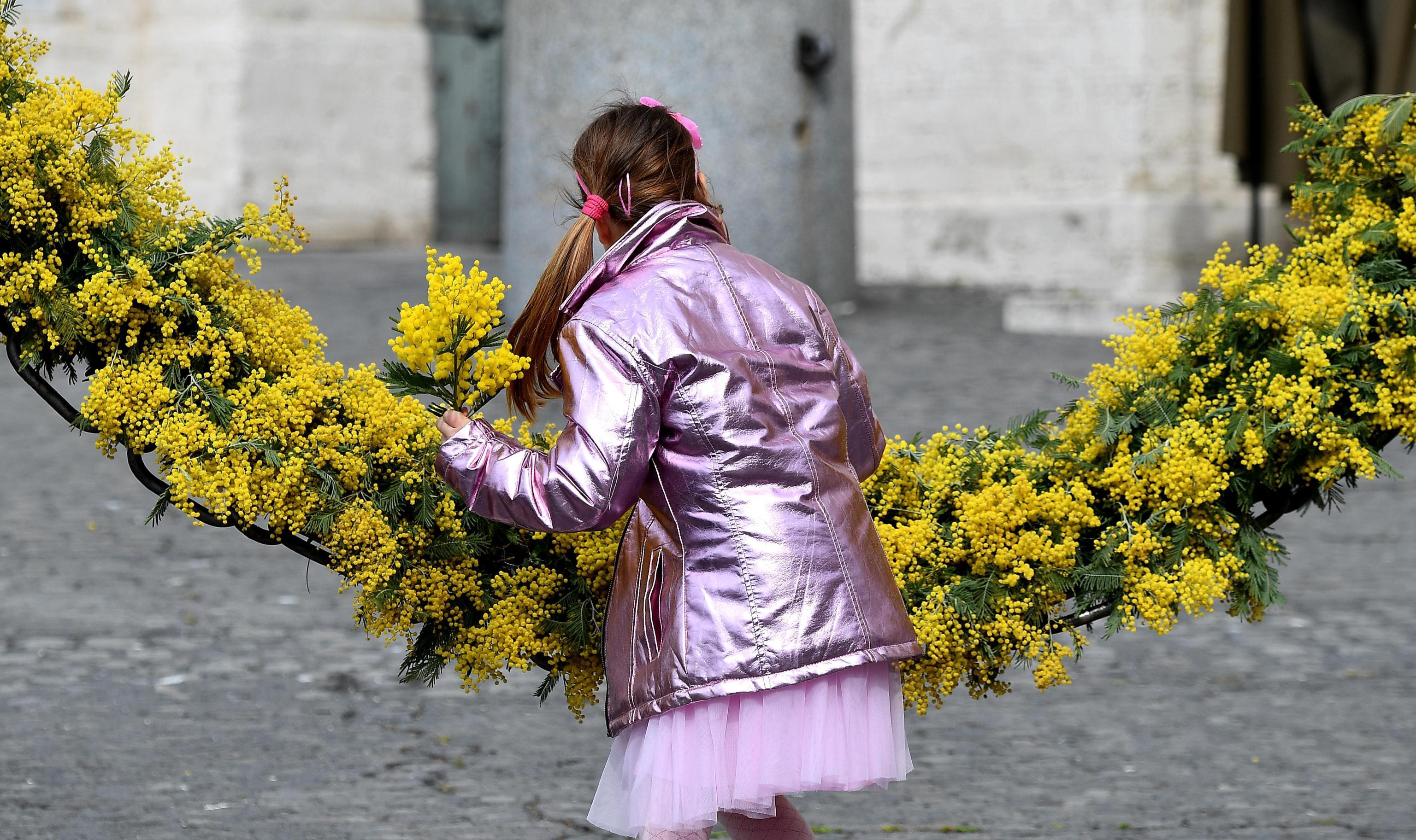 Festa Della Donna Mimosa Addio Vincono Tulipani E Garofani