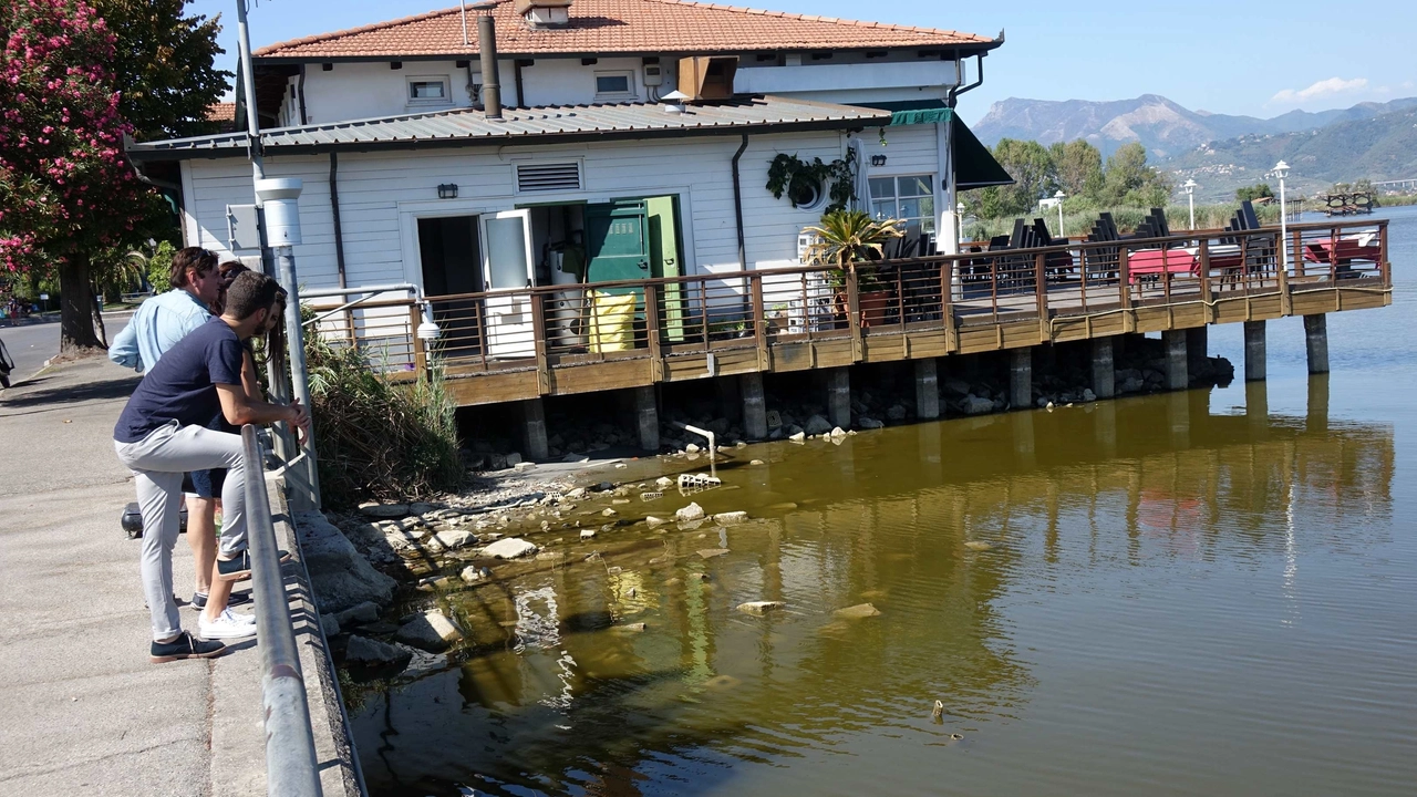 Il lago di Massaciuccoli in secca