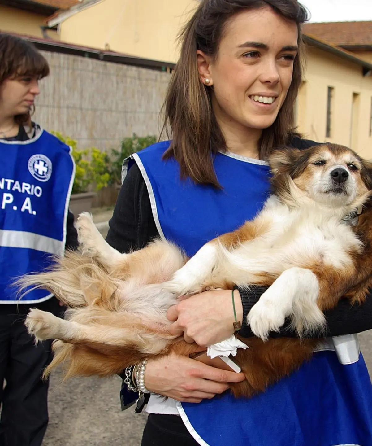 Cani e gatti abbandonati perfino in attesa dei cuccioli picco al