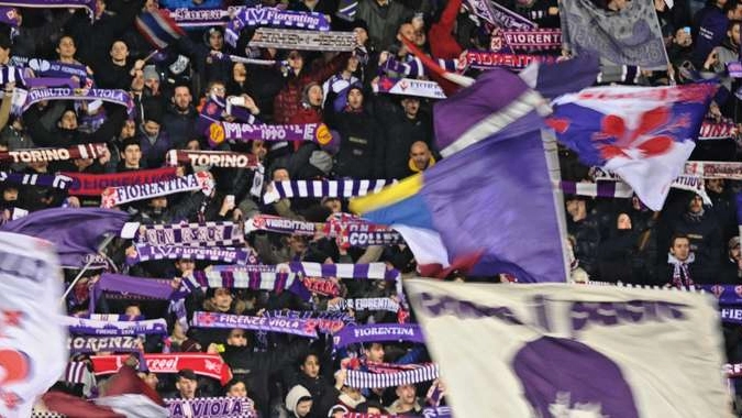 Tifosi viola