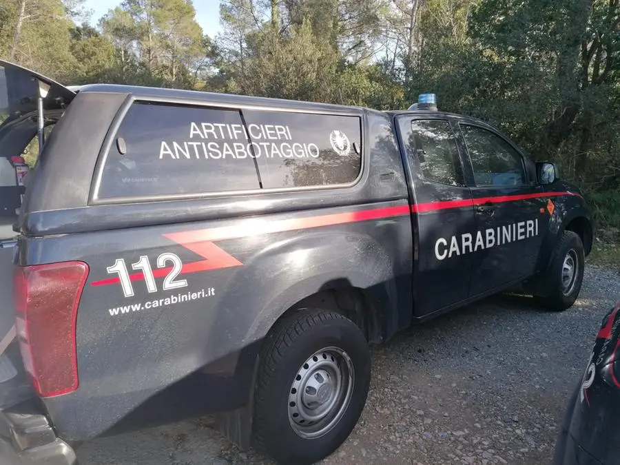 Passeggia nel bosco e trova bombe a mano, pistole e un fucile a canne mozze