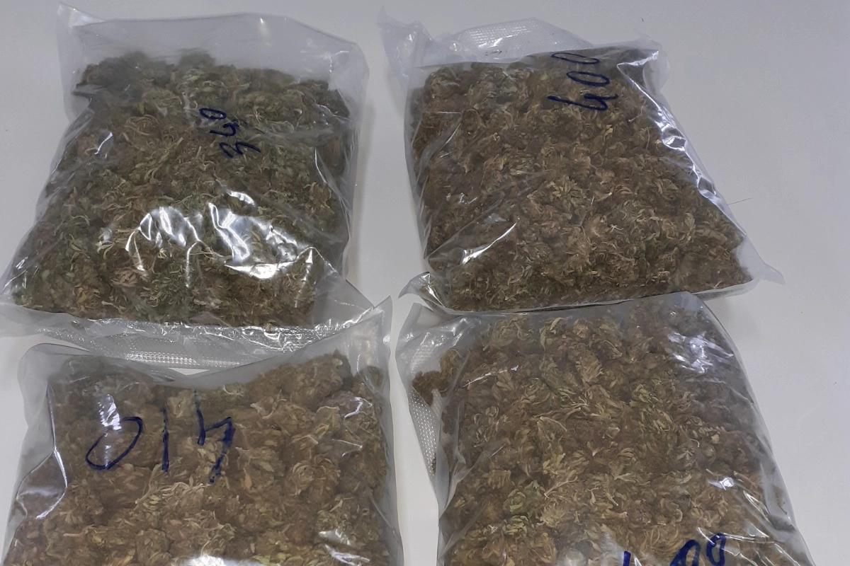 I pacchi con la marijuana trovati in casa 