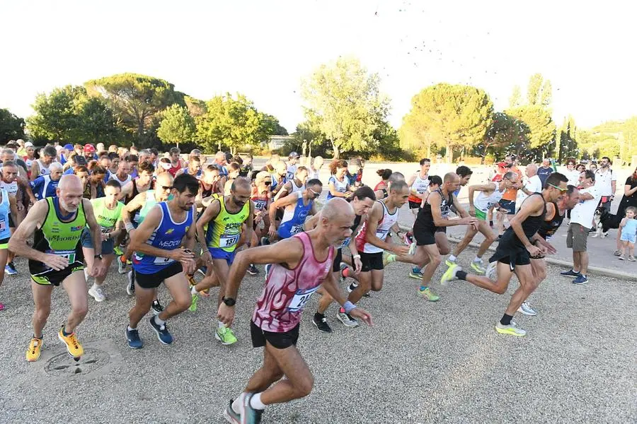 Di corsa per ricordare Serena