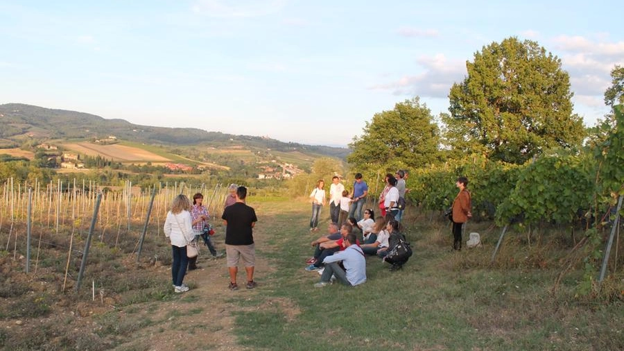 Montespertoli, cena di beneficenza per l'associazione vittime della strada