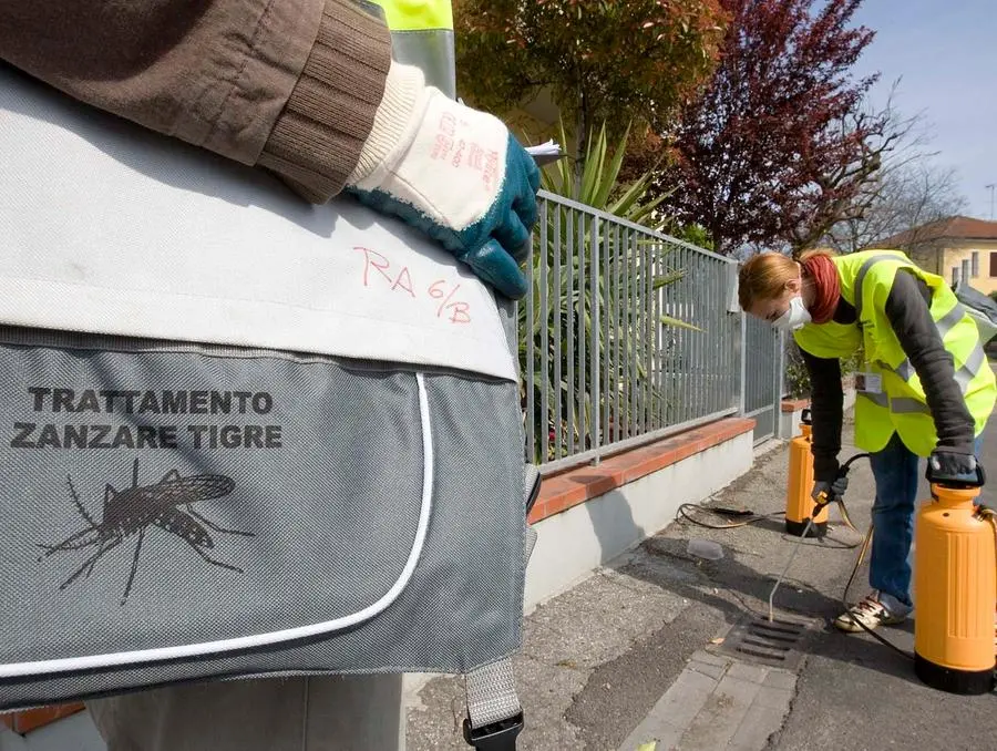 Dengue, zona rossa intorno all'ospedale