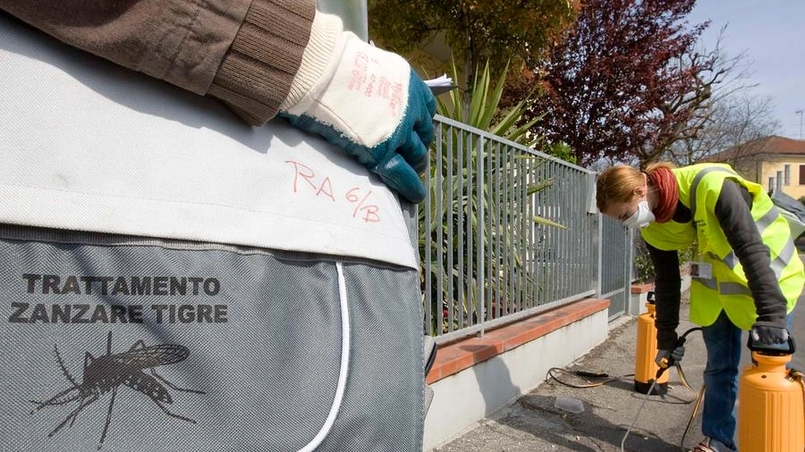 Nella zona attorno all'ospedale scatta la bonifica