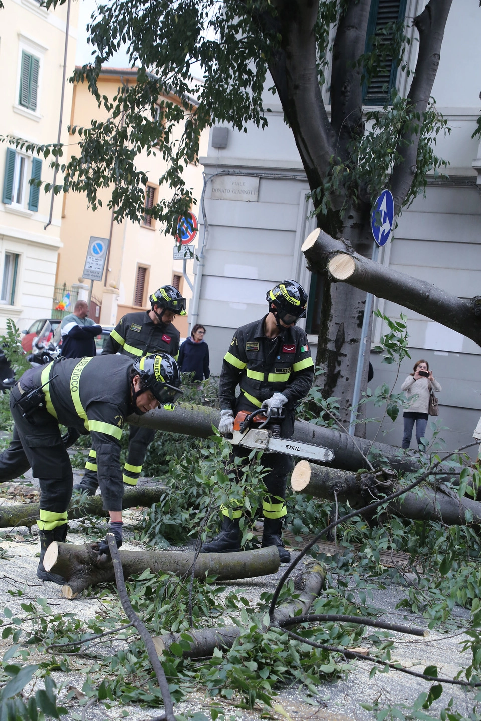 immagine di sfondo 14