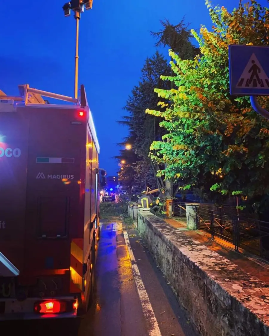 Maltempo oggi in Toscana e Umbria, i danni dei temporali: alberi caduti e allagamenti