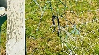 Vandali in campo. Futura Ghezzani. Tagliate le reti di notte. Denuncia ai carabinieri