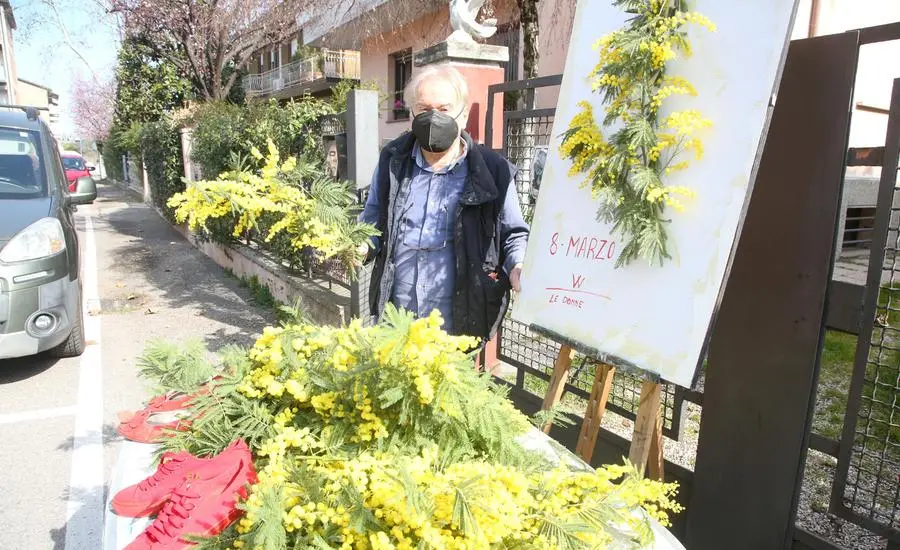 Festa della donna dedicata all’Ucraina