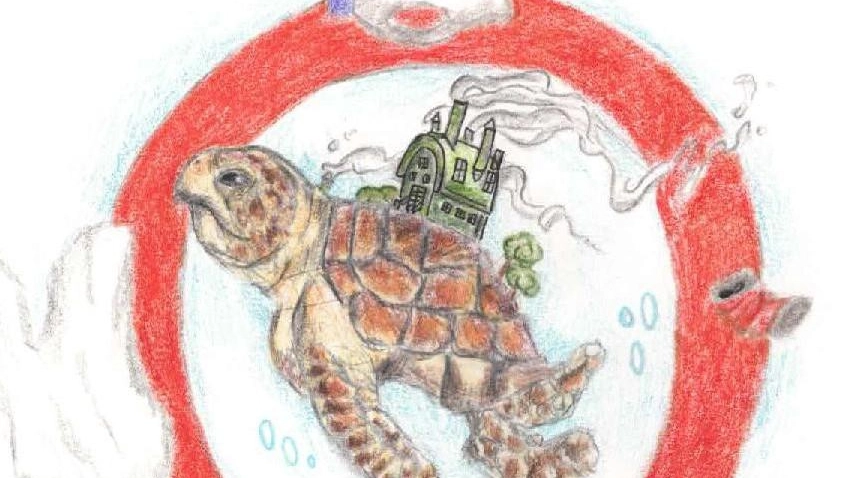 La produzione di plastica è in costante aumento  Ma soffoca il mare e uccide  la fauna  sommersa