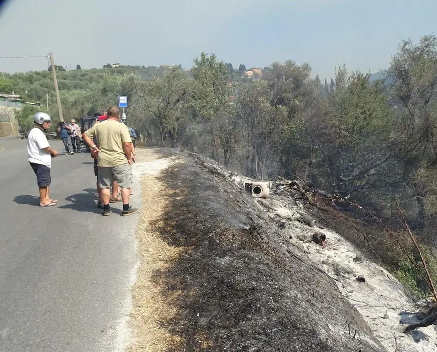 Maxi incendio di Bozzano, la rinascita dopo la devastazione delle fiamme