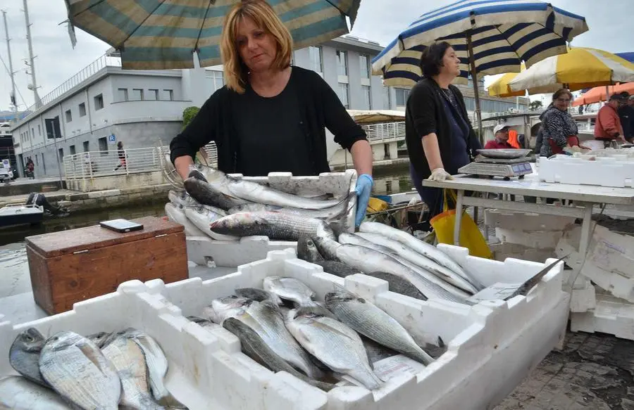 Caro gasolio, pescherecci e locali: "In Versilia si trova tutto, ma al 20% in più"