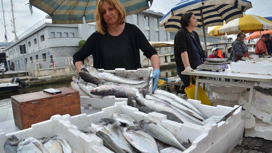 Vendita del pesce sul Molo