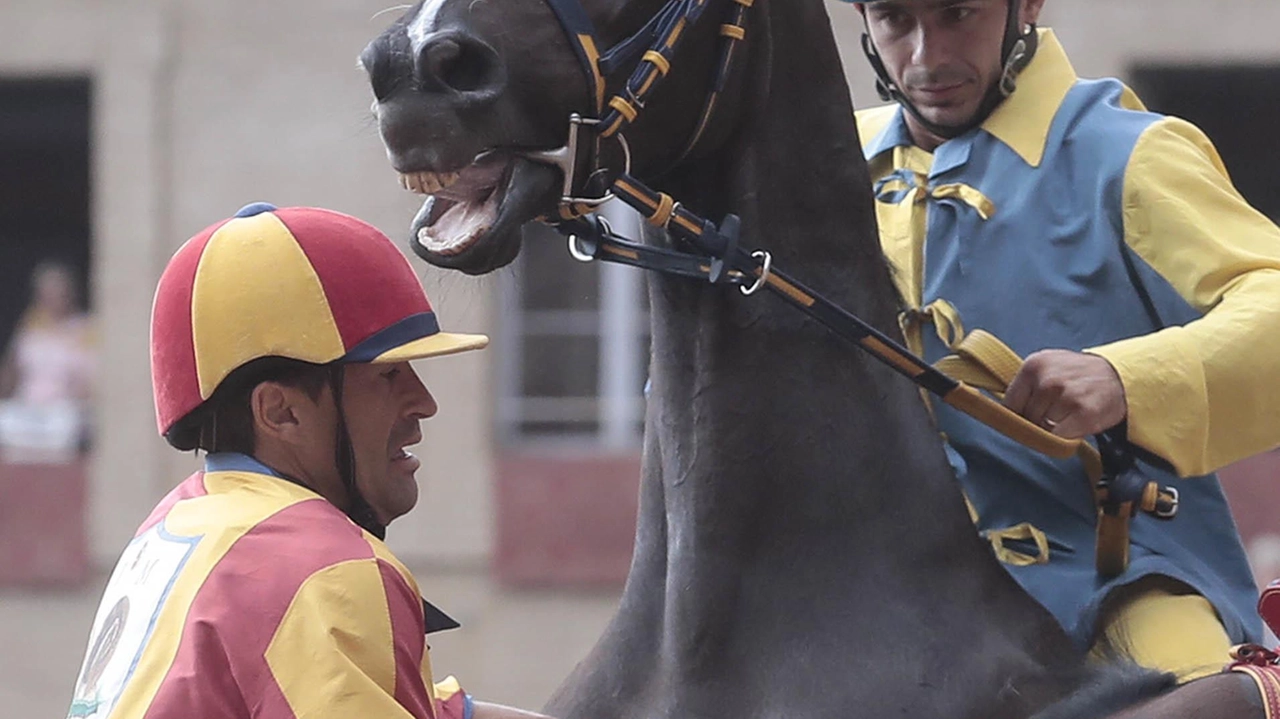 Il sarto dei fantini del Palio  Di Grillo: "Da vent’anni  il loro punto di riferimento"