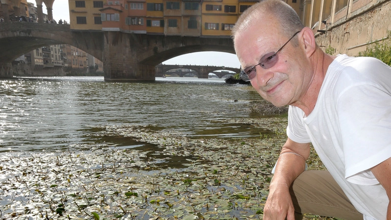  Firenze,  caldo, siccità, alghe in Arno