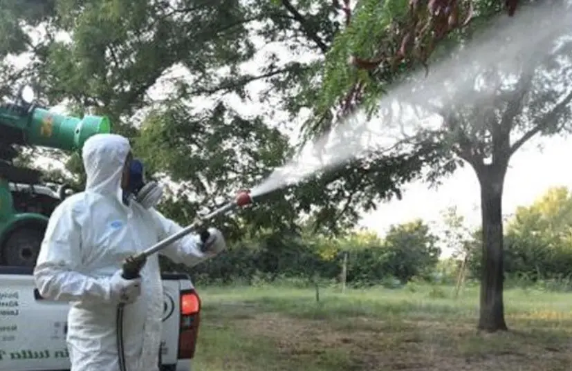 Disinfestazione partita dopo la minaccia Dengue