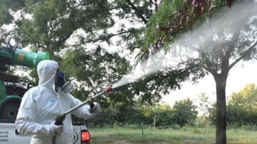 Disinfestazione partita  dopo la minaccia Dengue