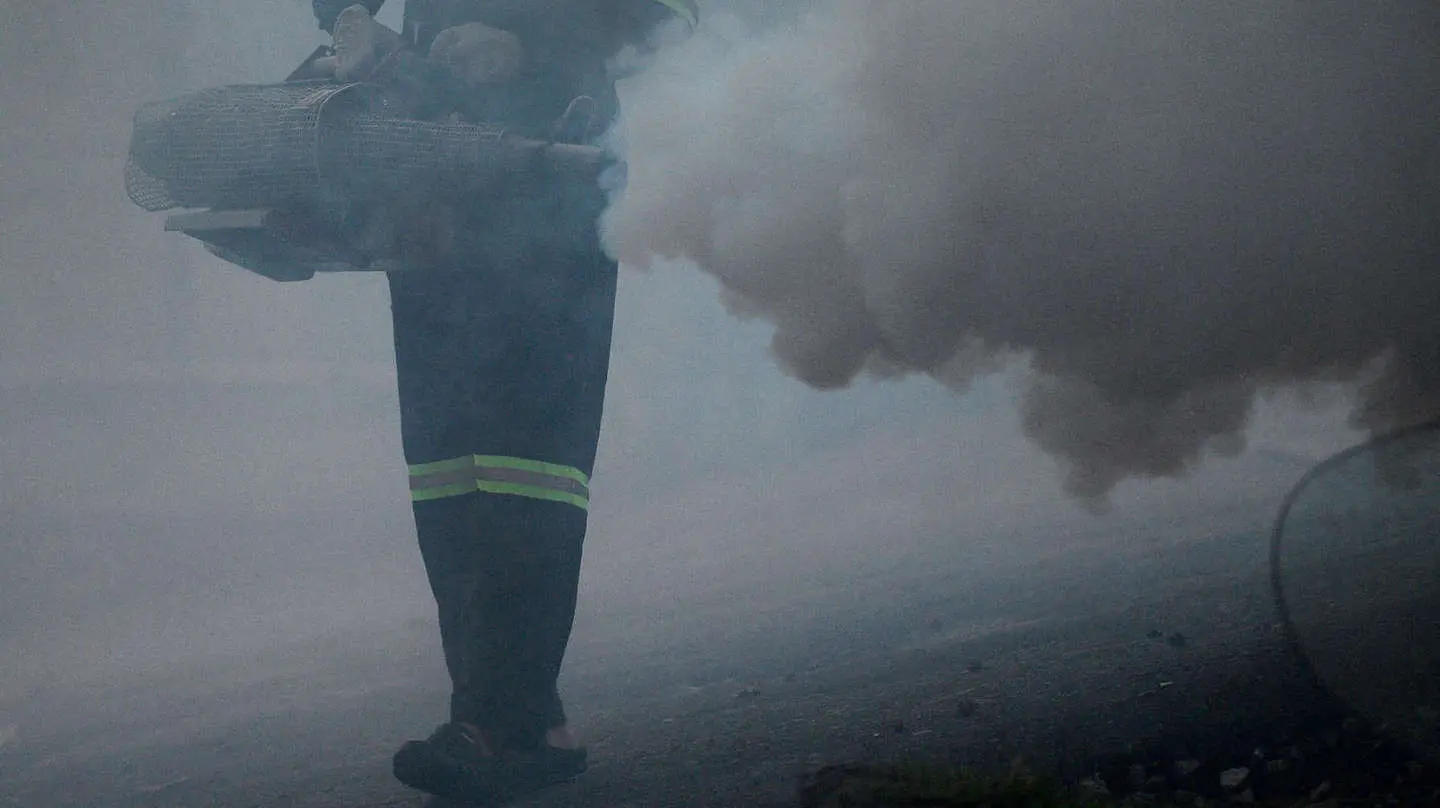 Allarme Dengue alla Pietà: già iniziata la disinfestazione