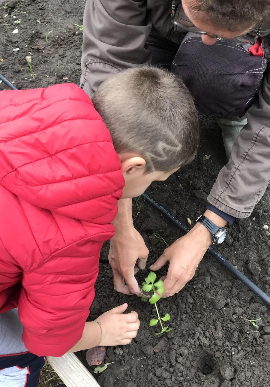 I Bambini Imparano A Coltivare Sono I Produttori In Erba