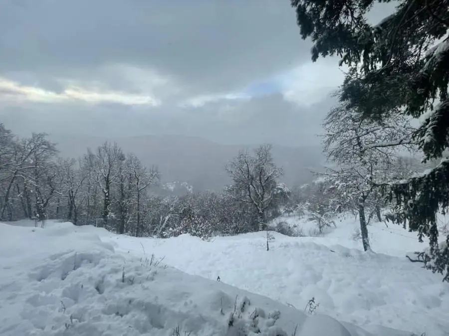 La neve imbianca le colline di Firenze. Paesaggio da sogno a Londa