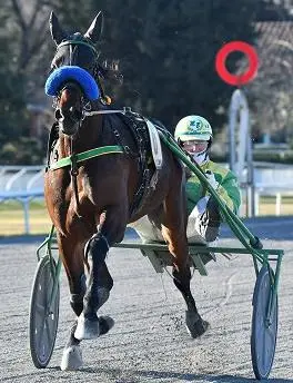 GP Firenze scalda i motori Quante stelle tra i partenti