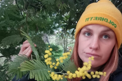 Mimosa già fiorita in Toscana a gennaio 2023 (Foto Coldiretti Toscana)