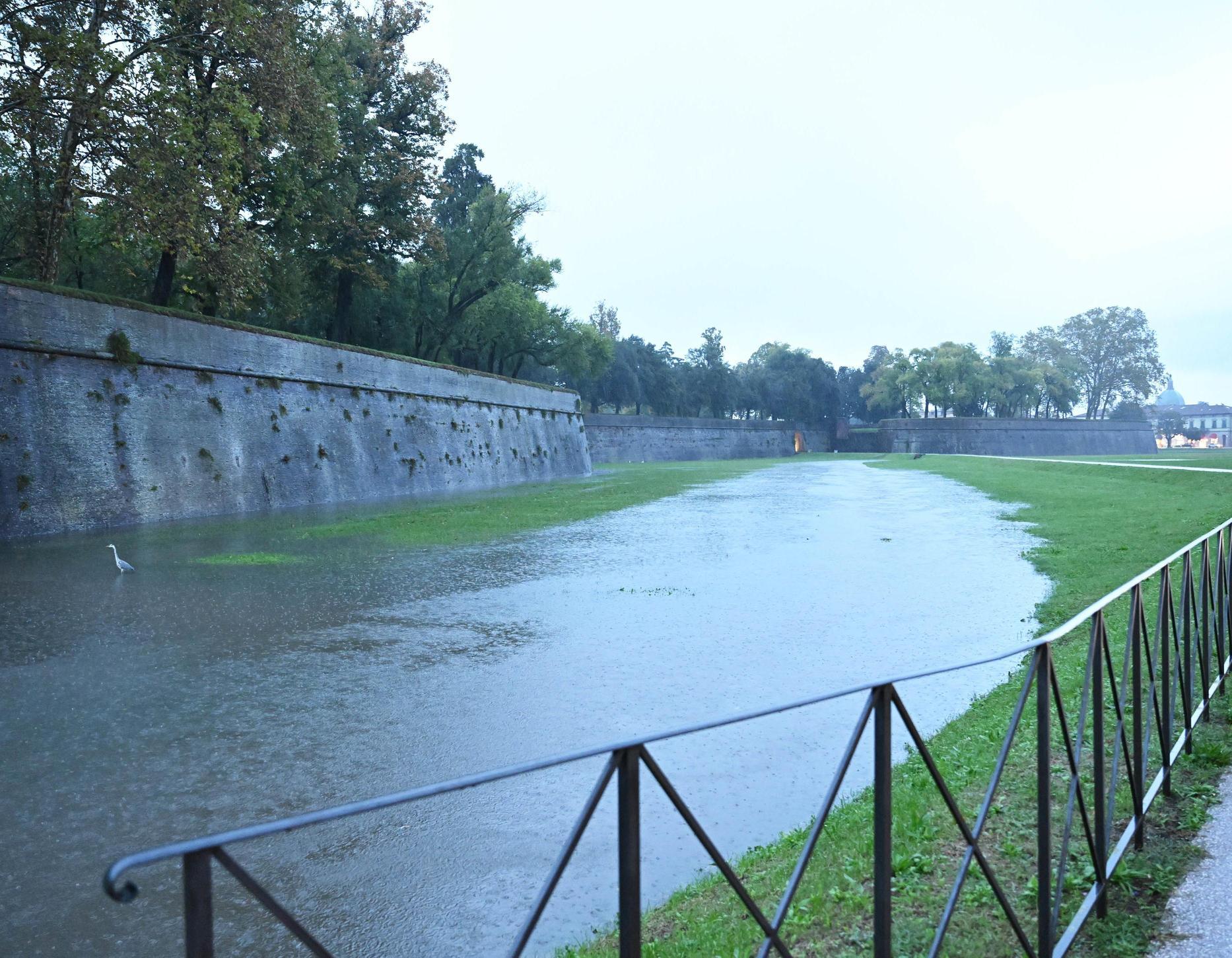 Nuova Allerta Arancione. Piogge Forti E Temporali