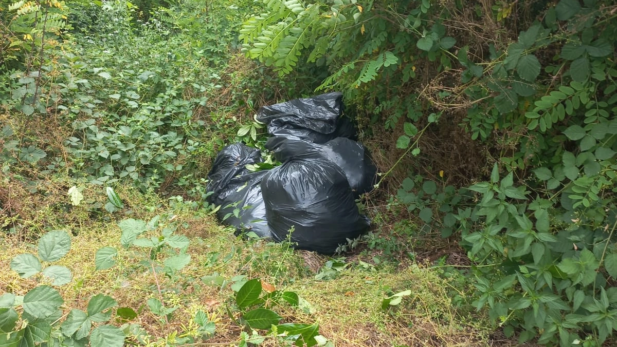 I sacchi lanciati nella scarpata