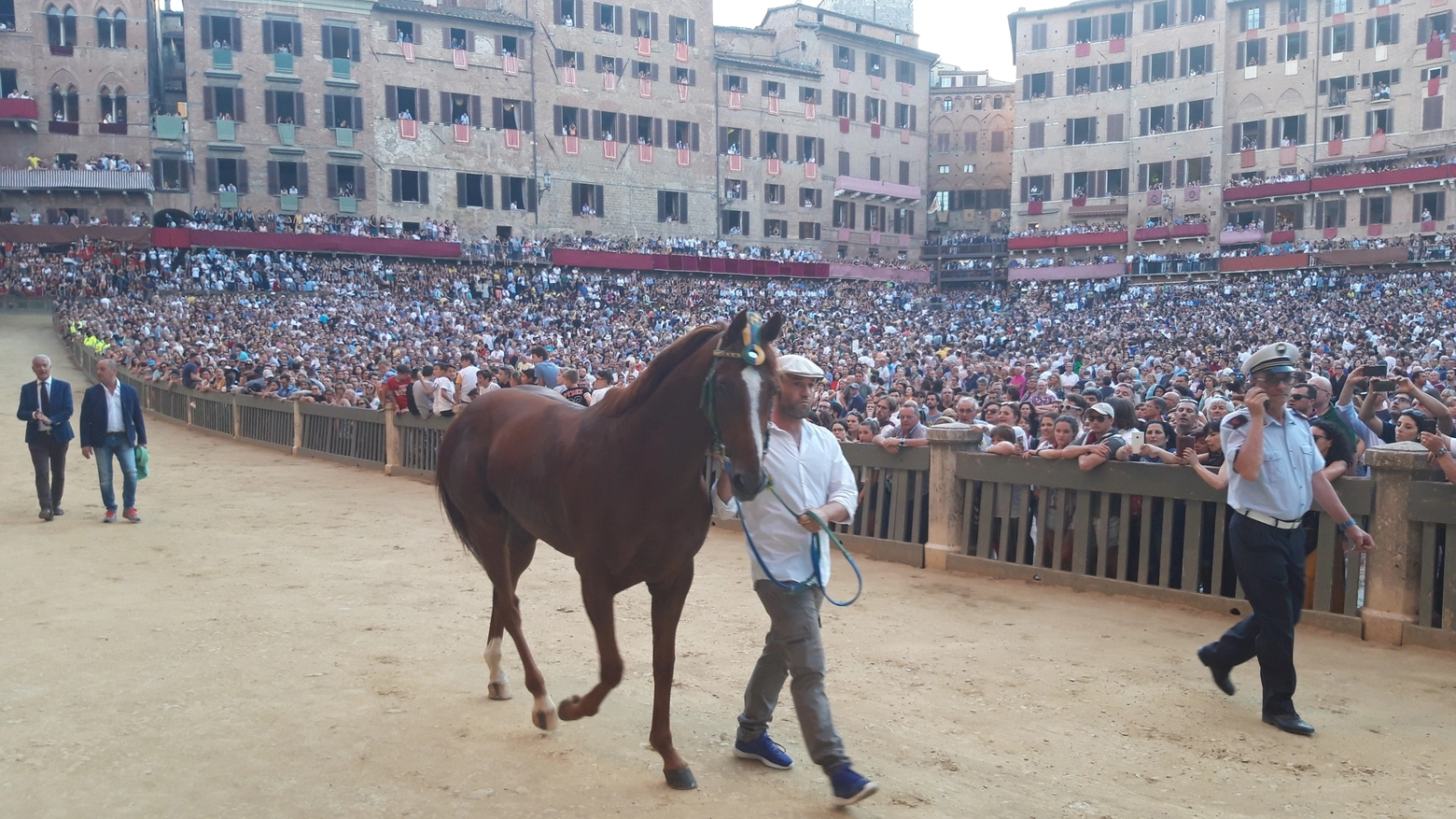 Il cavallo del Bruco rientra nell'Entrone