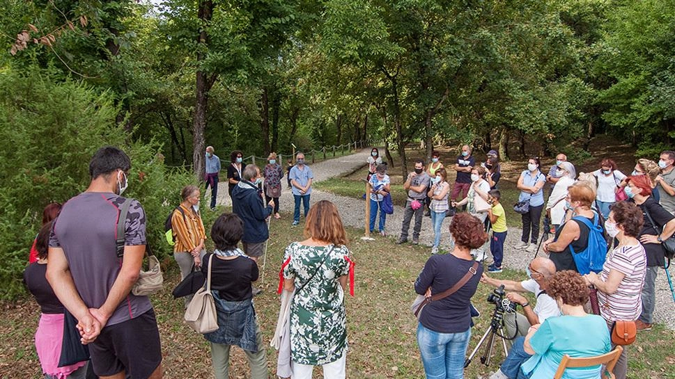 Alberi per l’aria pulita. Ecco il bosco urbano che assorbe i gas nocivi