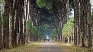 Il Parco di San Rossore